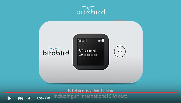 watch Bitebird on youtube